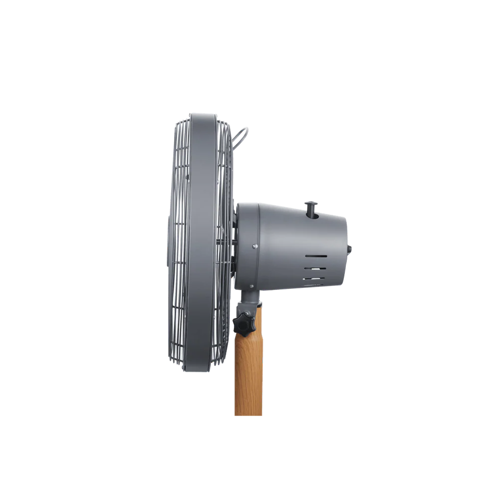 Boden Stark 40cm Stand Fan